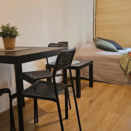 Grzybowska 9 Apartament *